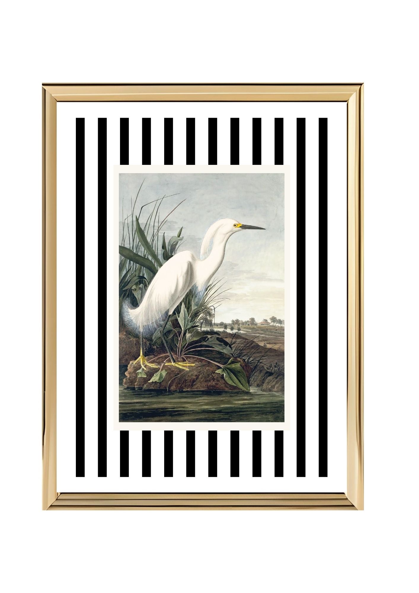 Snowy Egret