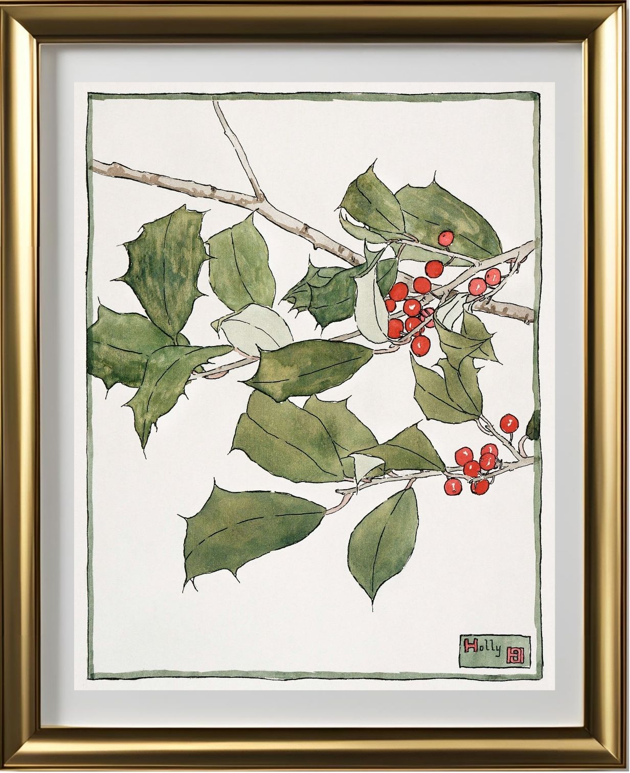 Holly