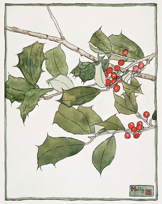 Holly