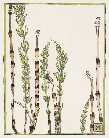 Horsetail