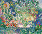 Le faux poivrier (Provence)