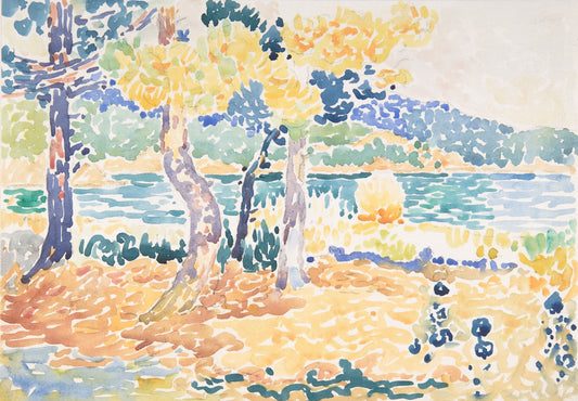 Pines on the Coastline