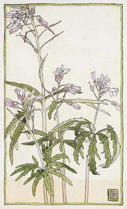 Pink Flowers with Spiky Green Leaves