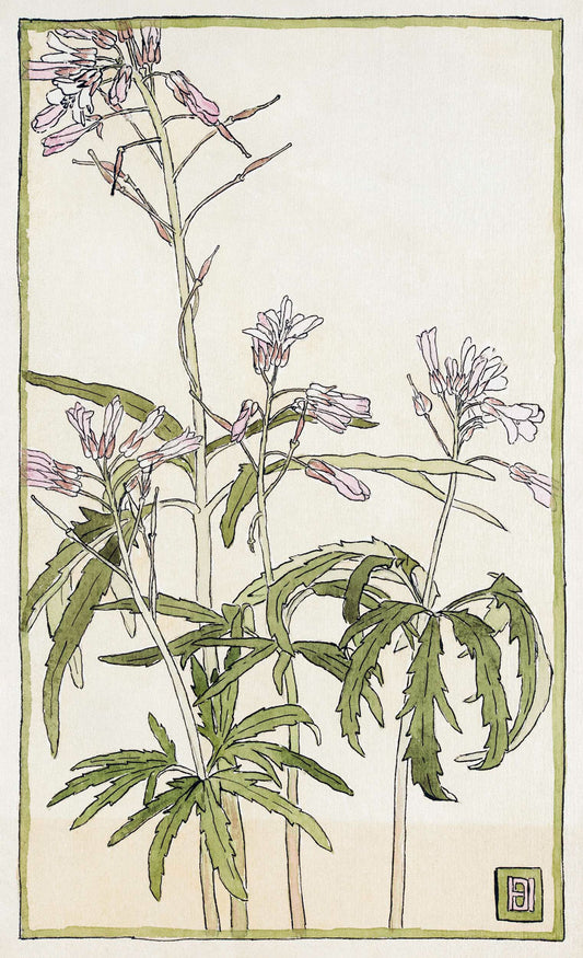 Pink Flowers with Spiky Green Leaves