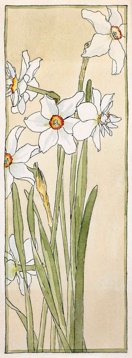 Poets Narcissus