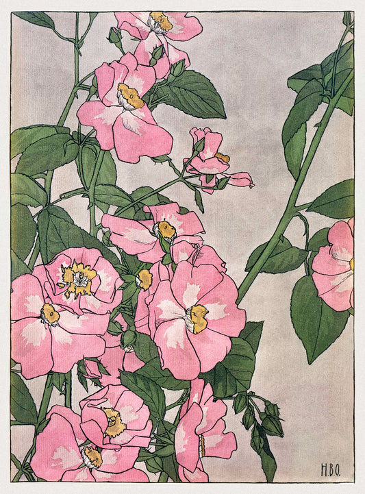 Prairie Rose
