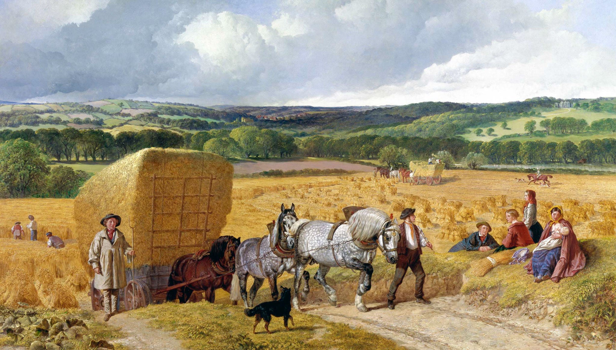 The Harvest