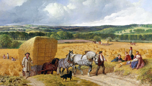 The Harvest
