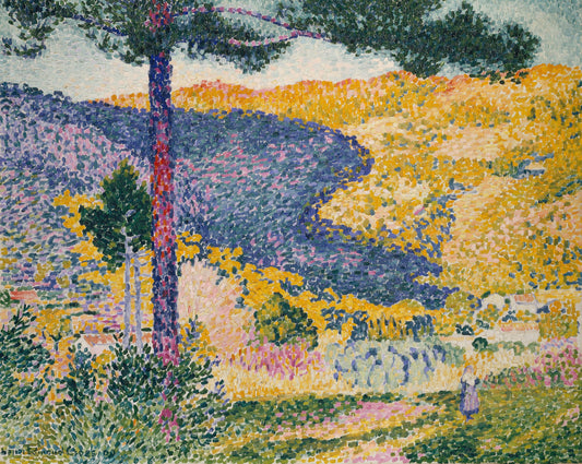 Valley with Fir (Shade on the Mountain)