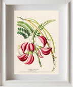 Le Colibri Végétal Agathi