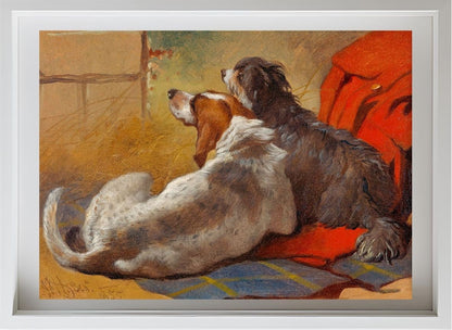 A Hound and a Bearded Collie seated on a Hunting Coat
