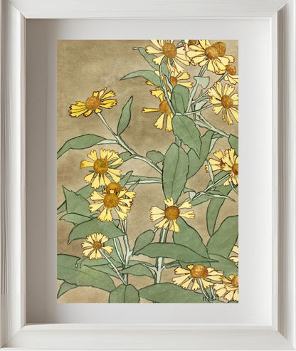 Daisies with Orange Centre and Yellow Petals