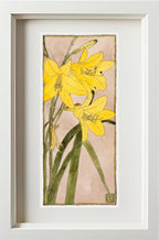 Yellow Day Lily