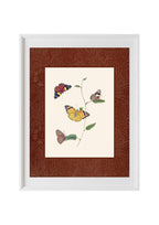 Butterflies 2