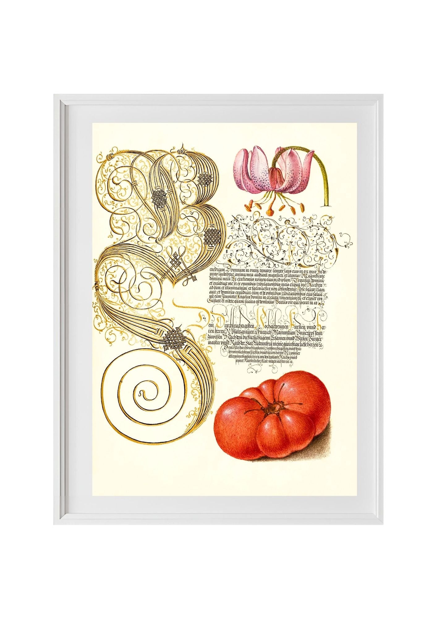 Martagon Lily and Tomato