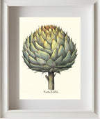 Italian artichoke head