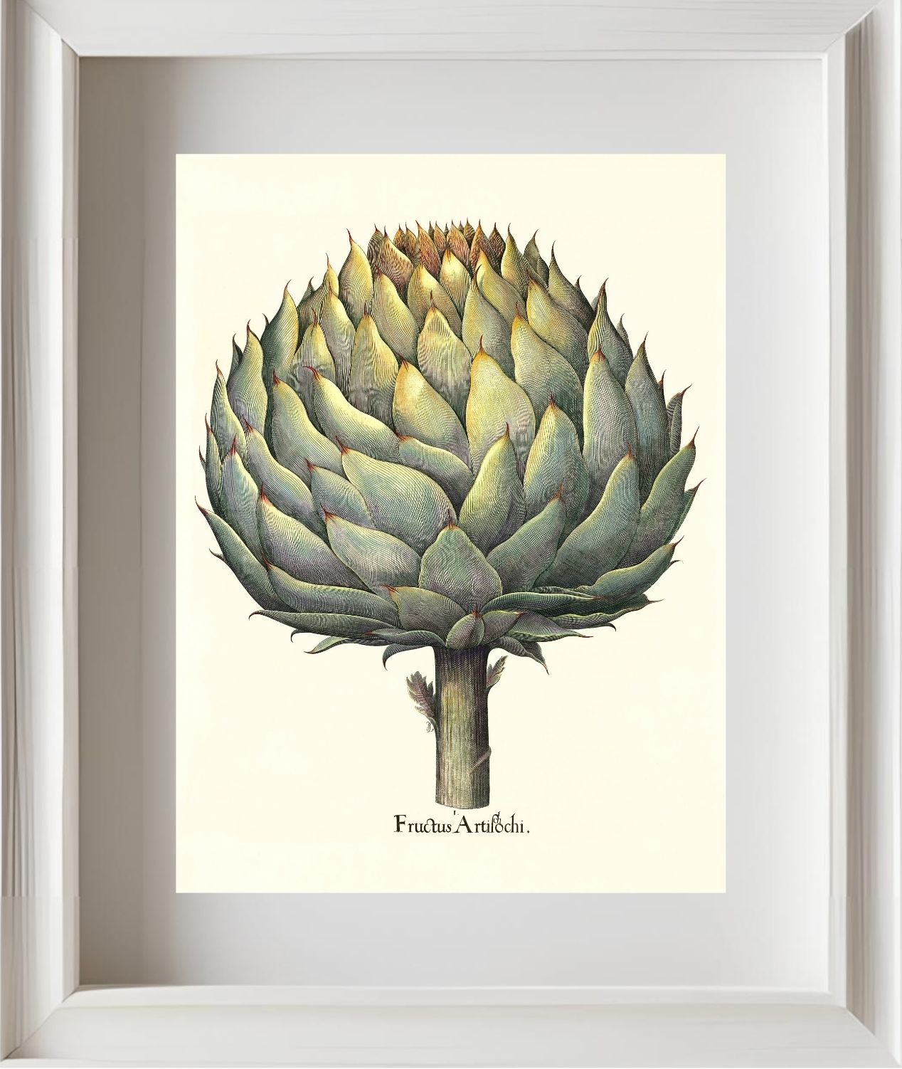Italian artichoke head