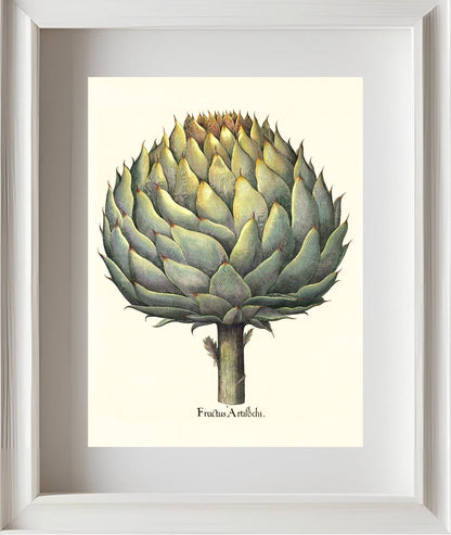 Italian artichoke head