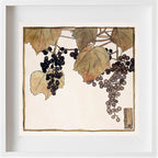 Frost Grape