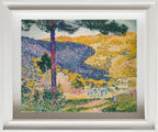 Valley with Fir (Shade on the Mountain)
