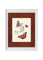 Butterflies 1
