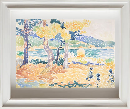 Pines on the Coastline
