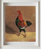 Fighting Cock (2)