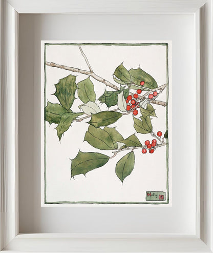 Holly