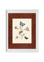 Butterflies 4