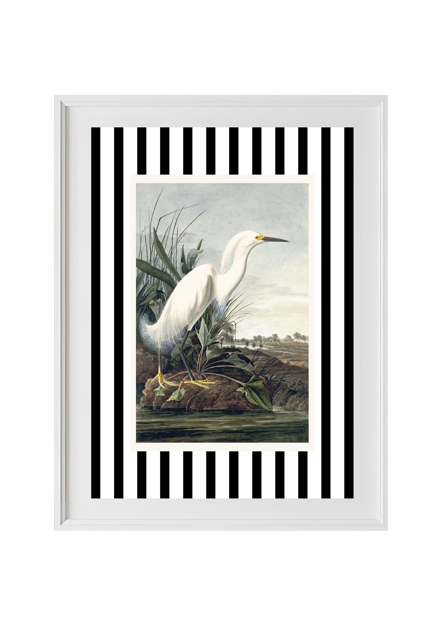 Snowy Egret