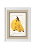 Bananas Musa