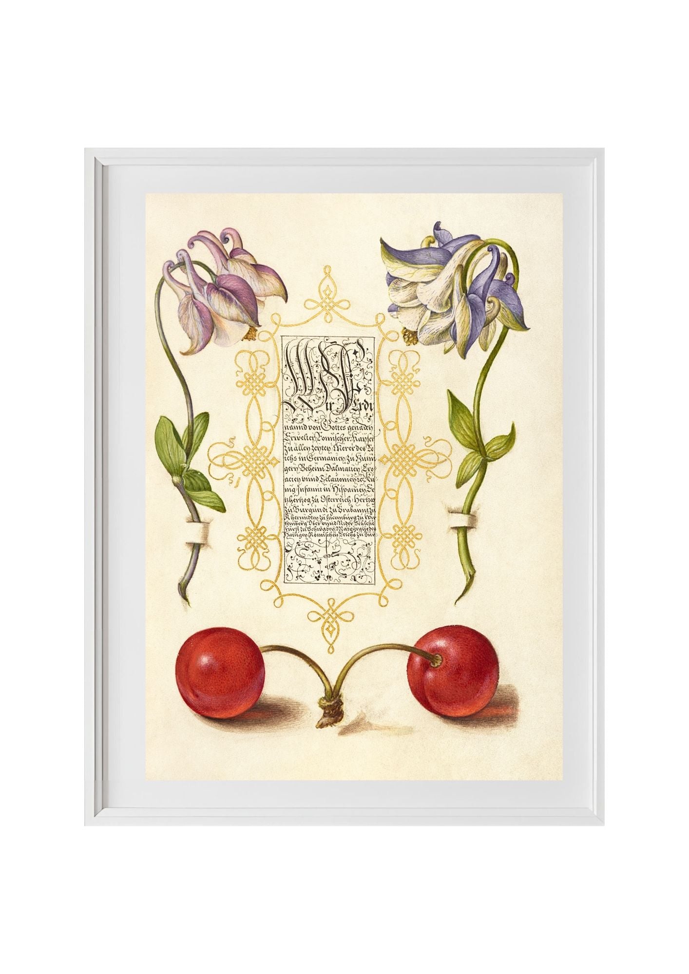 European Columbines and Sweet Cherry