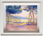 Pines Along the Shore