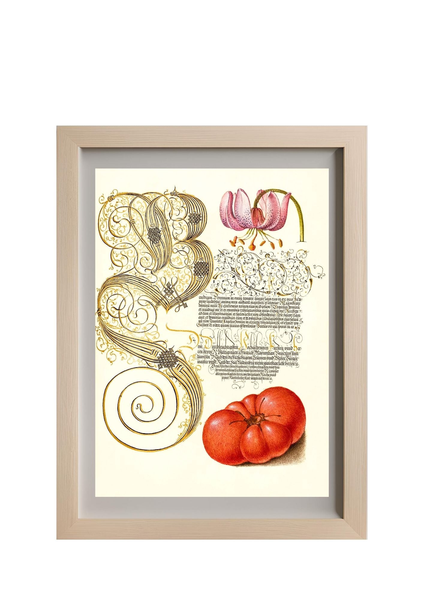 Martagon Lily and Tomato