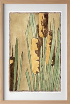 Cattail