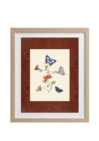 Butterflies 4
