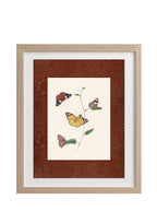Butterflies 2