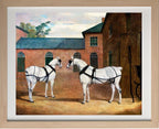 Grey Carriage Horses in the Coachyard at Putteridge Bury