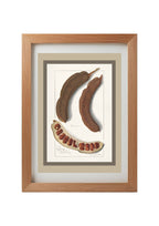 Indian Tamarind