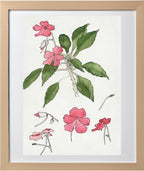 Sultana