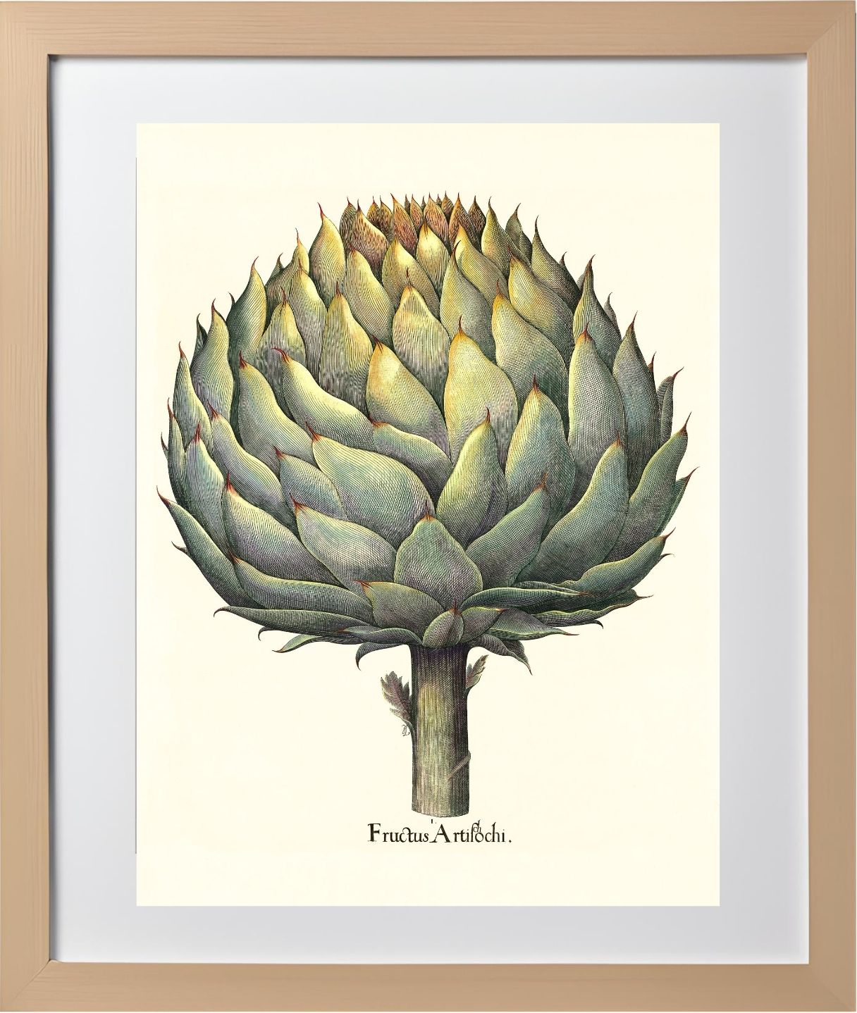 Italian artichoke head