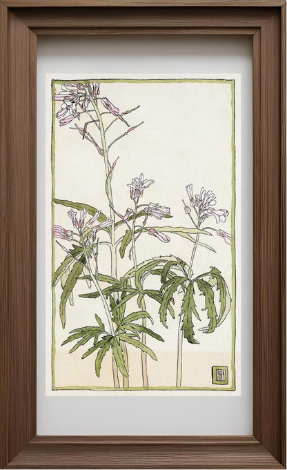 Pink Flowers with Spiky Green Leaves