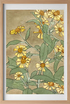 Daisies with Orange Centre and Yellow Petals
