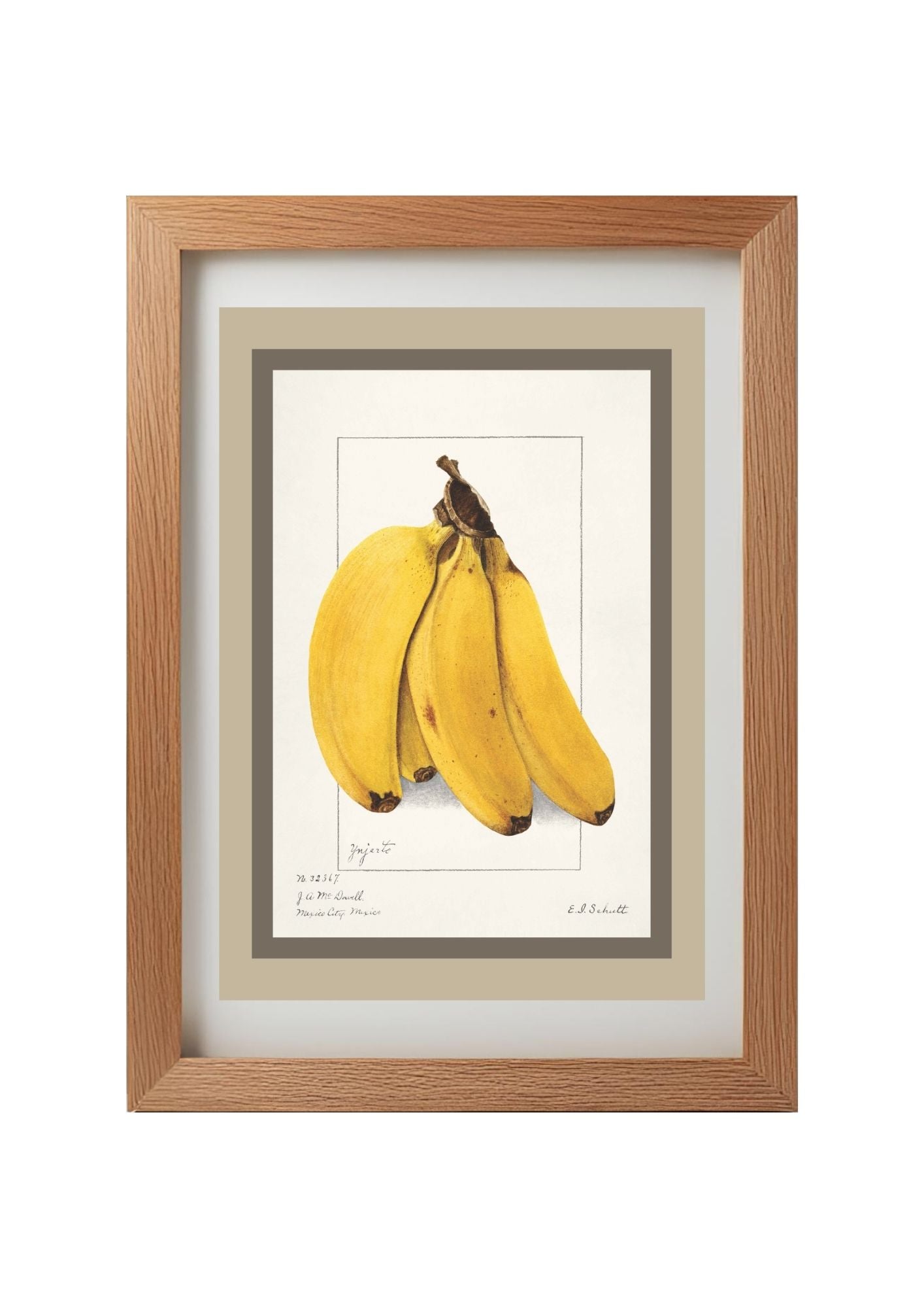 Bananas Musa