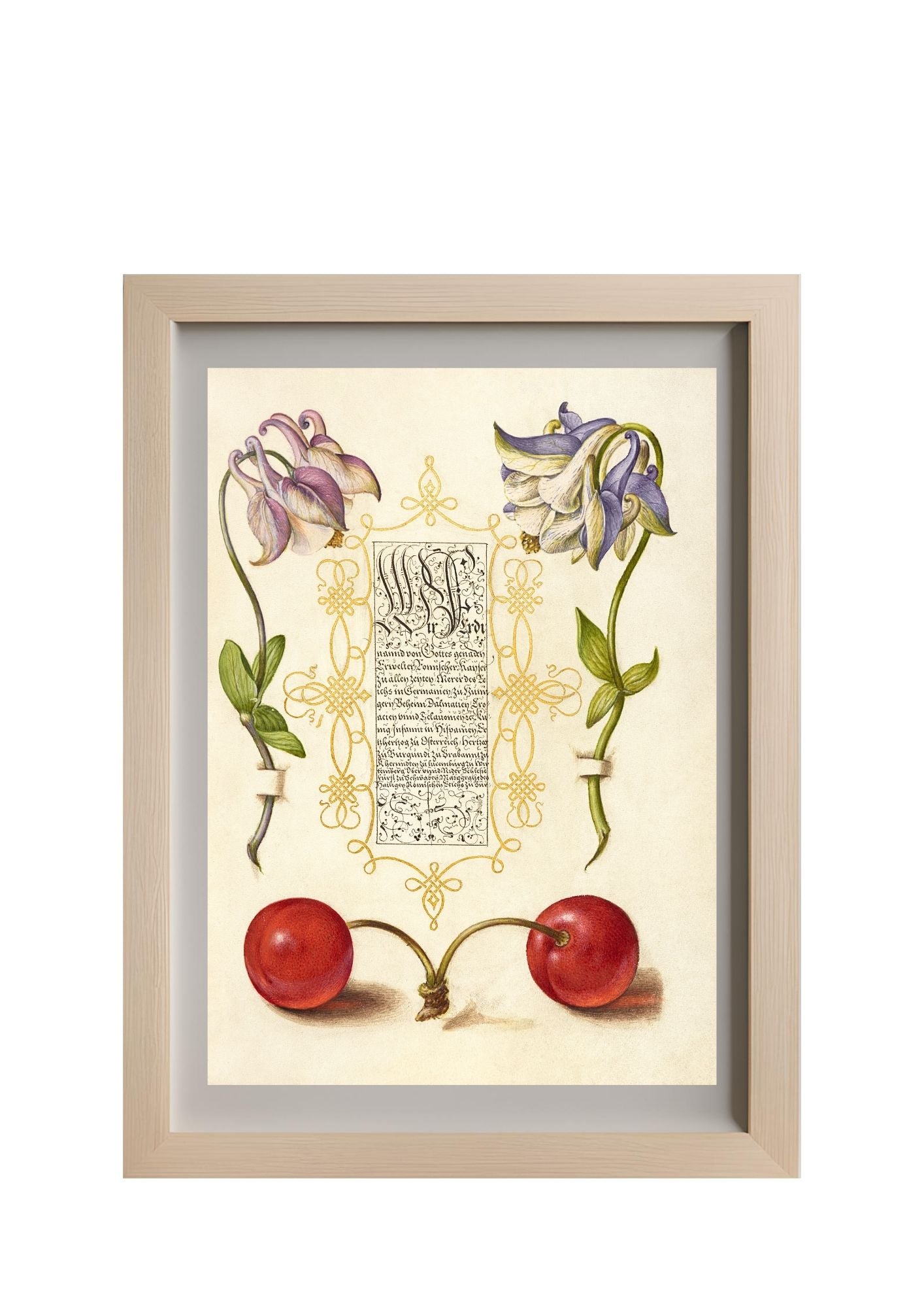 European Columbines and Sweet Cherry