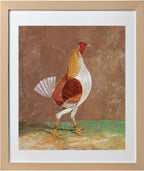 Fighting Cock (1)