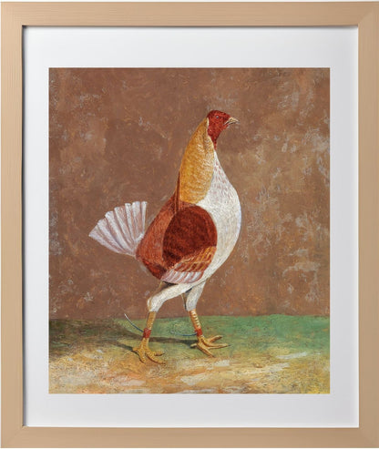 Fighting Cock (1)