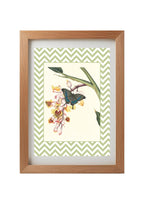 Papilio Crino