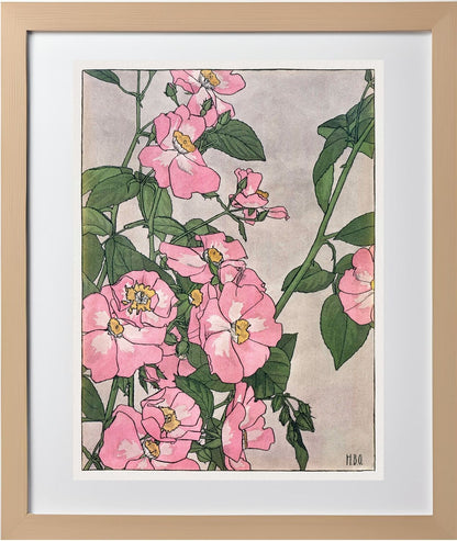 Prairie Rose