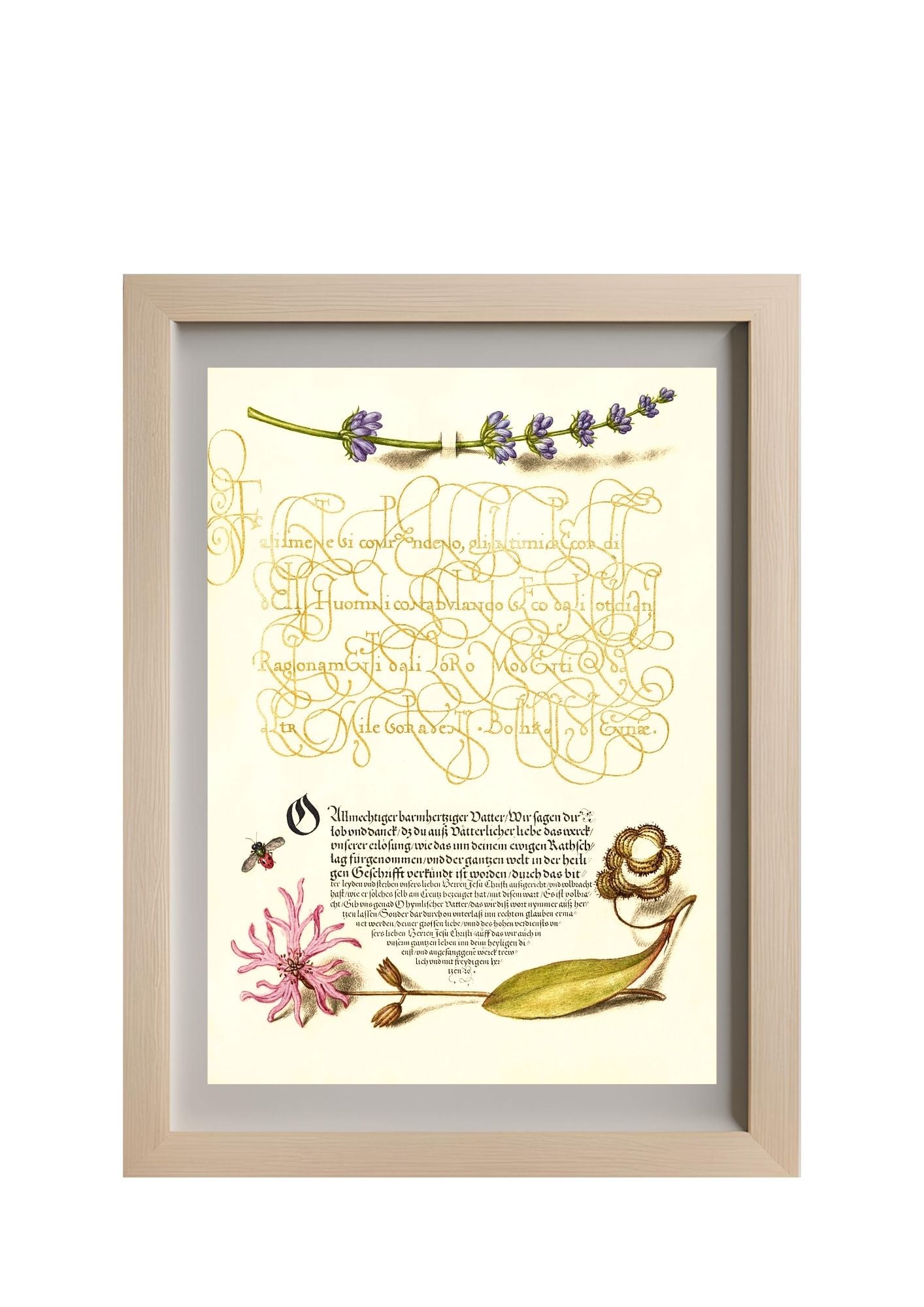 Hyssop, Insect, and Cuckoo Flower